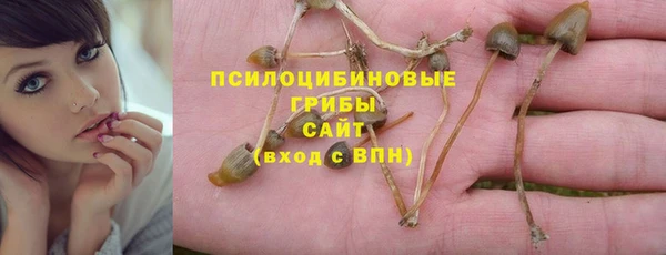трава Белокуриха