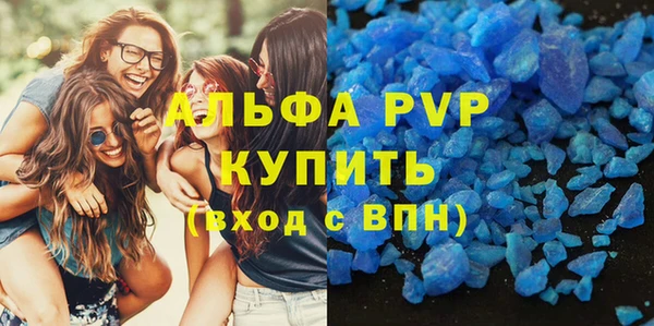 трава Белокуриха
