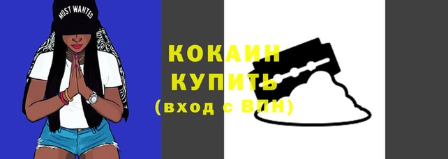 трава Белокуриха