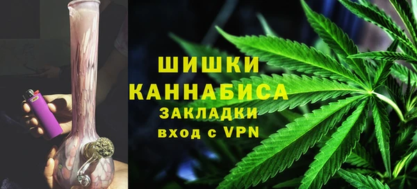 трава Белокуриха