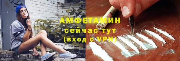 трава Белокуриха