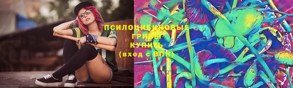 трава Белокуриха